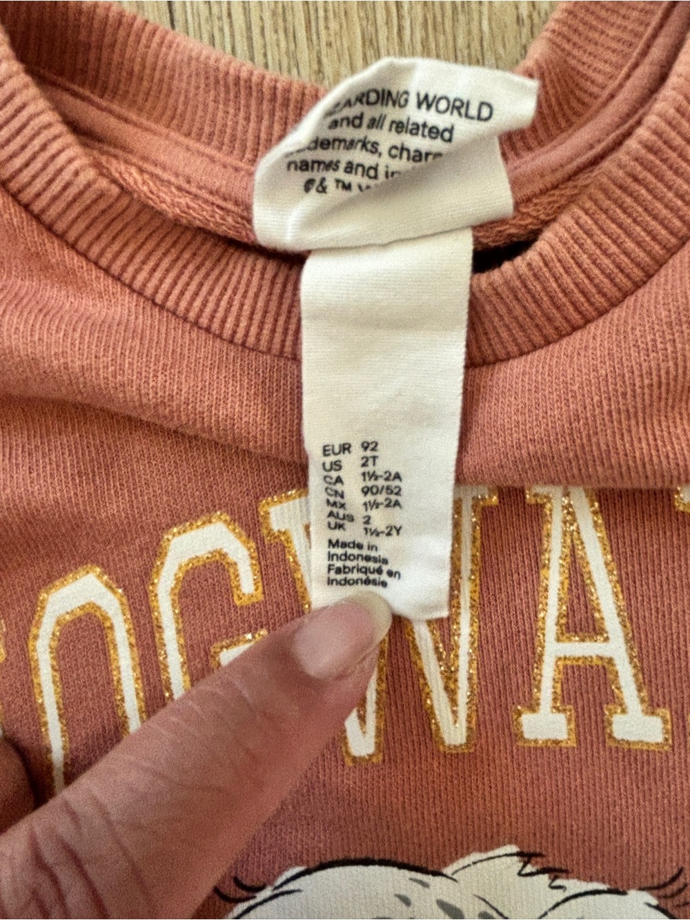 H&M Rust-Pink Hogwarts Owl Ruffle Dress - Picture 5 of 5